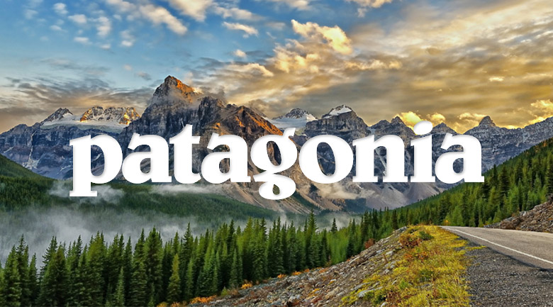 strategy patagonia sustainability